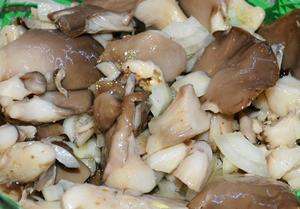 Рецепты приготовления свежих грибов вешенок