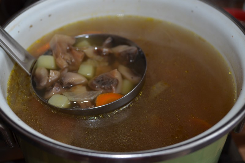 Как приготовить суп из вешенок